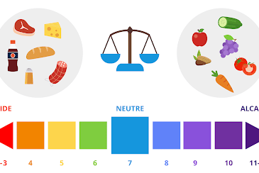 EQUILIBRE ACIDO-BASIQUE: PHYSIOLOGIE ET EXPLORATION