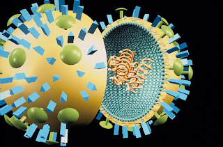 Voila Pourquoi l’Infection par le COVID-19 n’est pas Immunisante