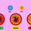 LES LIPOPROTÉINES : HDL,LDL,VLDL, IDL