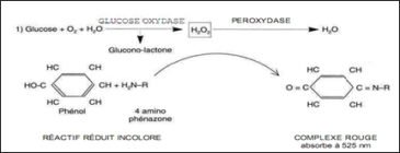 Liquide Céphalo-Rachidien (LCR) : Analyse Biochimique, Interprétation ...